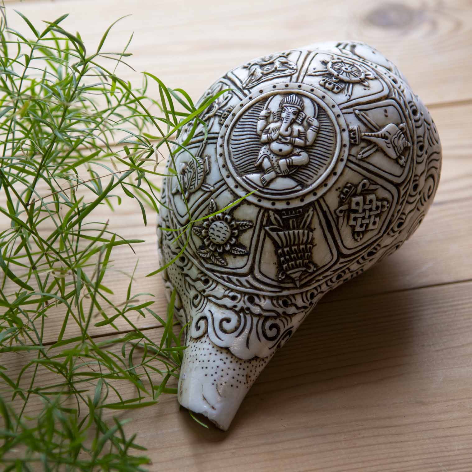 Etched Conch Shell - Ganesh – Siesta Crafts