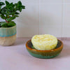 Sea Urchin Soap Dish-Siesta Crafts