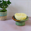 Sea Kelp Soap Dish-Siesta Crafts