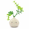 Dumpling Ceramic-Siesta Crafts