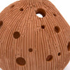 Globe Ceramic Air Plant Hanger-Siesta Crafts