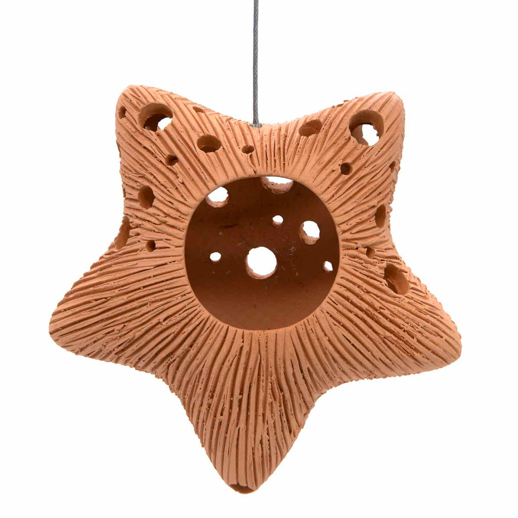Star Ceramic Air Plant Hanger-Siesta Crafts