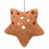 Star Ceramic Air Plant Hanger-Siesta Crafts