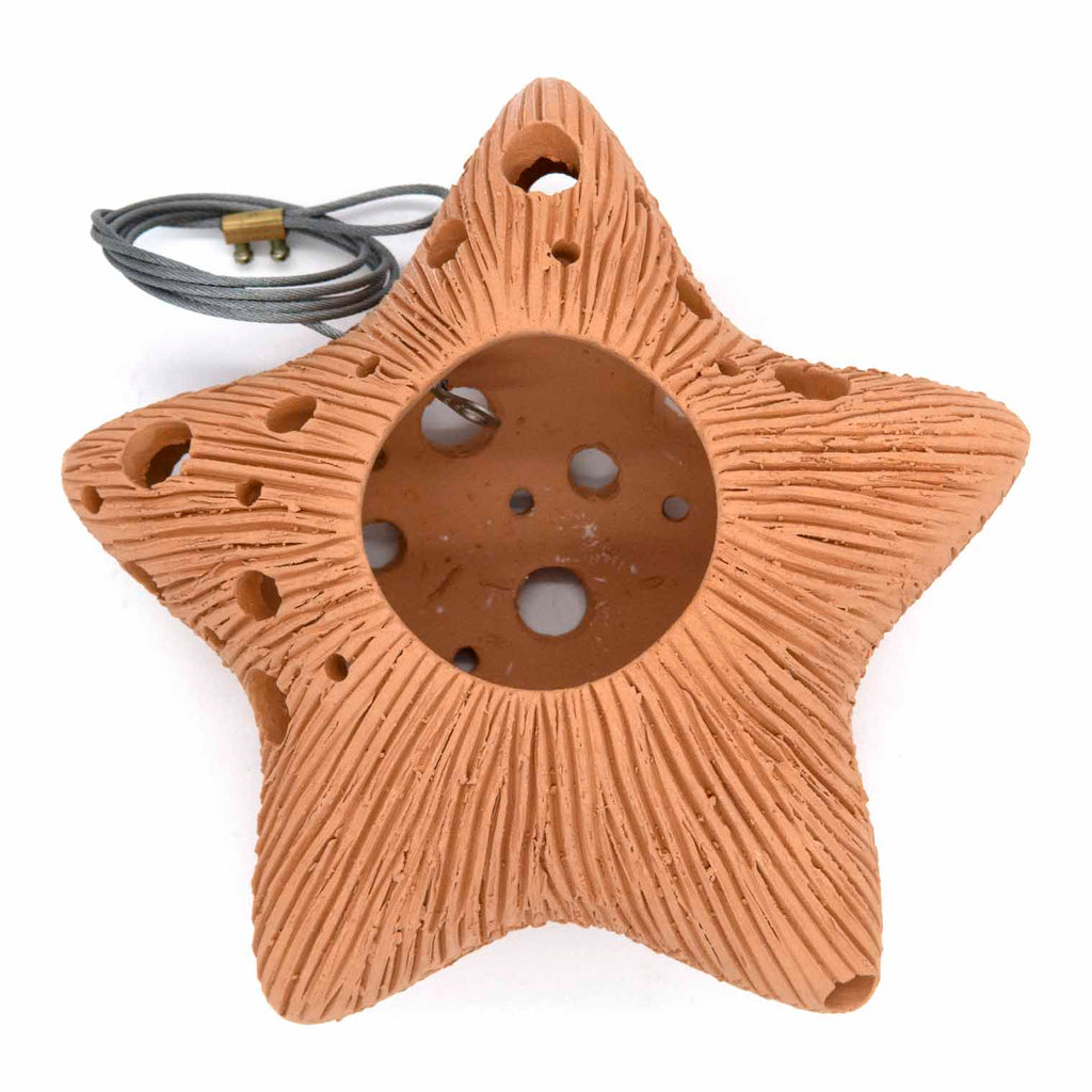 Star Ceramic Air Plant Hanger-Siesta Crafts