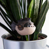 Piranha Fish Ceramic Plant Pot Buddy-Siesta Crafts