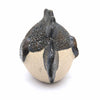 Piranha Fish Ceramic Plant Pot Buddy-Siesta Crafts