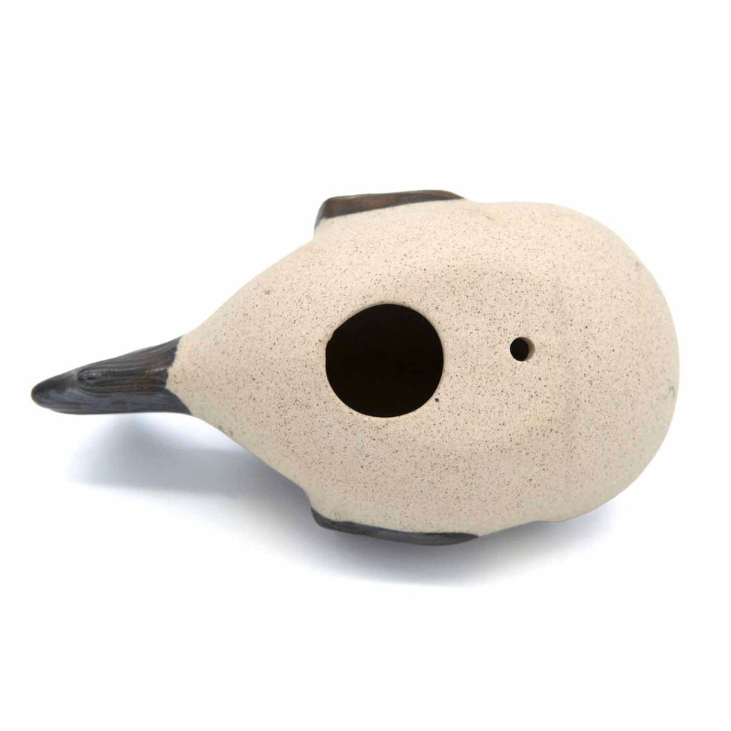 Piranha Fish Ceramic Plant Pot Buddy-Siesta Crafts