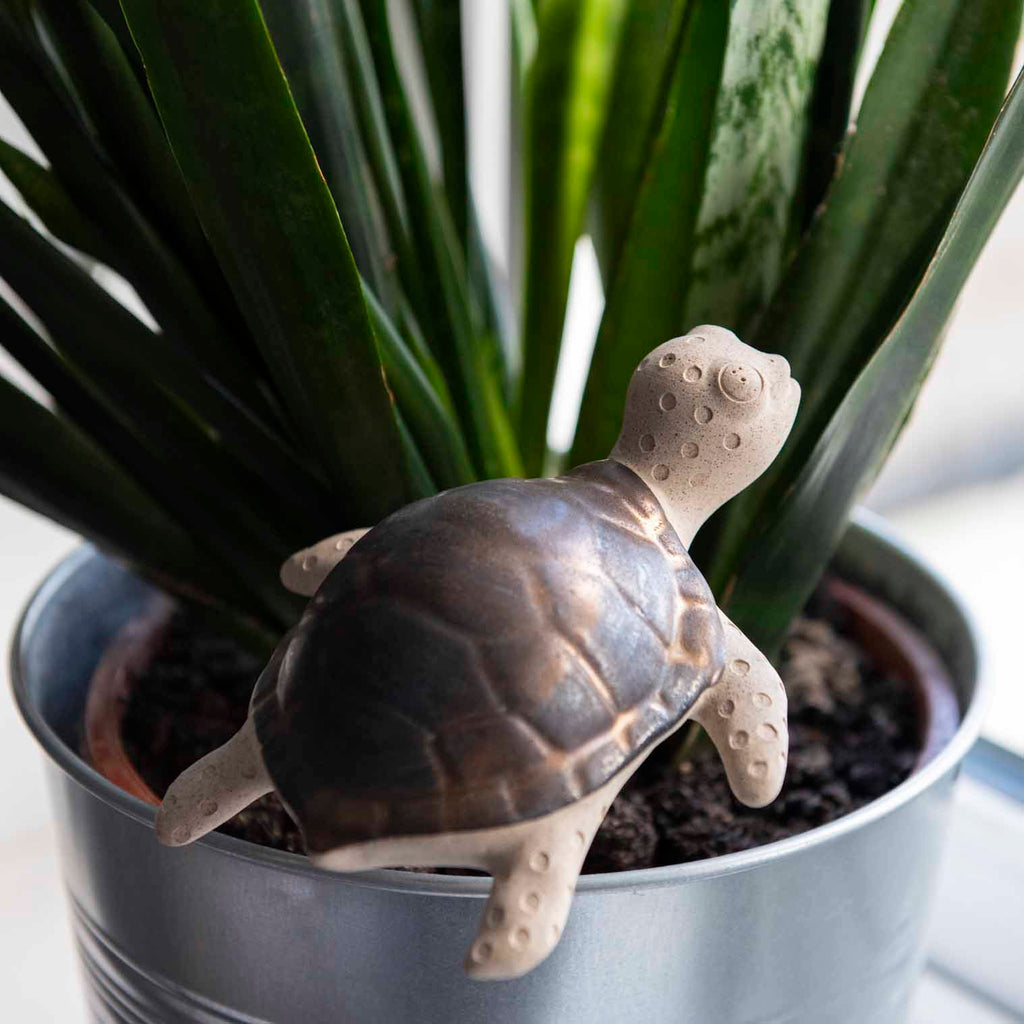 Turtle Ceramic Plant Pot Buddy-Siesta Crafts