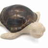 Turtle Ceramic Plant Pot Buddy-Siesta Crafts