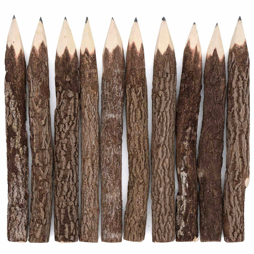 Large Thai Twig Pencils - Pack of 10