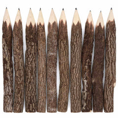 Large Thai Twig Pencils - Pack of 10