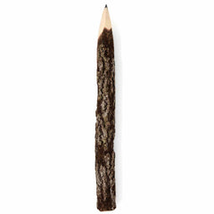 Large Thai Twig Pencils - Pack of 10