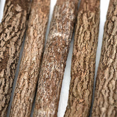 Large Thai Twig Pencils - Pack of 10