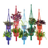 Bright Double Macrame Plant Hanger-Siesta Crafts