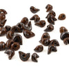 Bird Bead Pack of 50-Siesta Crafts