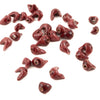 Bird Bead Pack of 50-Siesta Crafts