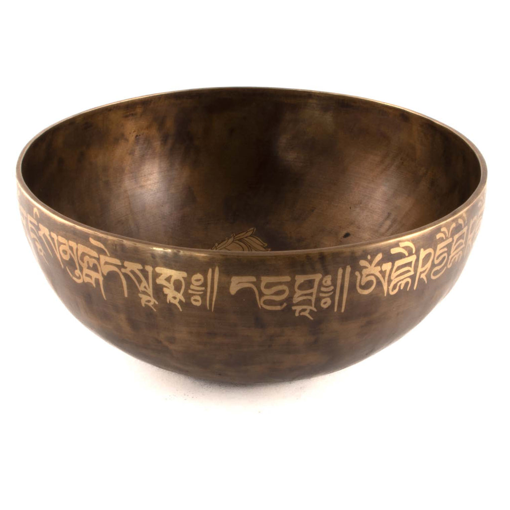Medicine Buddha Etched Singing Bowl No.24-Siesta Crafts