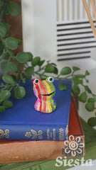 Stripy Pocket Frog