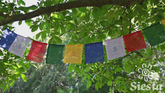 Tibetan Prayer Flags - Medium