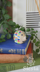Stripy Pocket Hedgehog