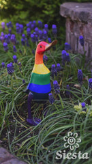 Rainbow Duck