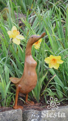 Bamboo Root Duck